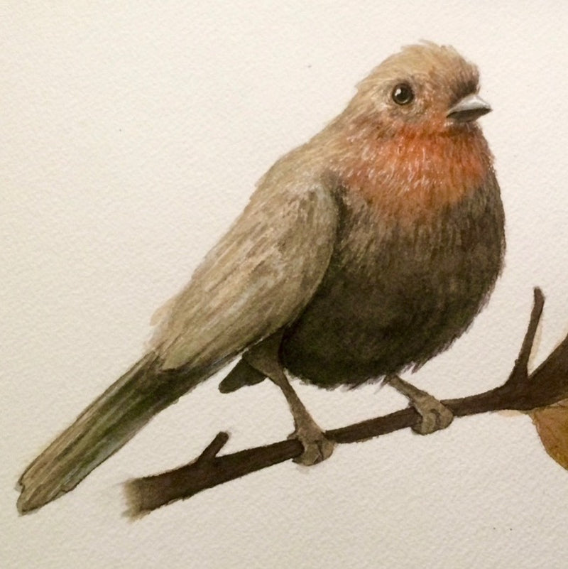 Intermediate Watercolor Class: 3 Saturdays, September 6th, 13th and 20th