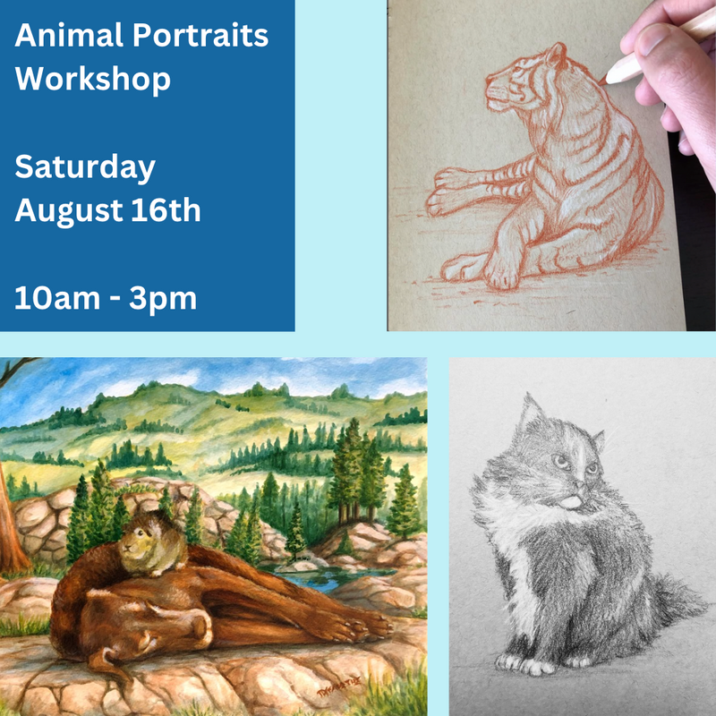 Animal Portrait Workshop, Saturday August 16th