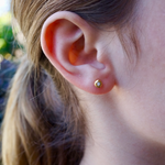 Terra Crystal Post Earrings